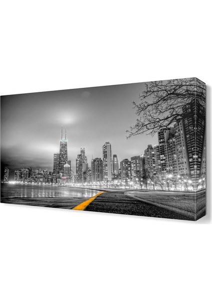 Chicago Siyah Beyaz Şehir Tablosu 45x30 cm