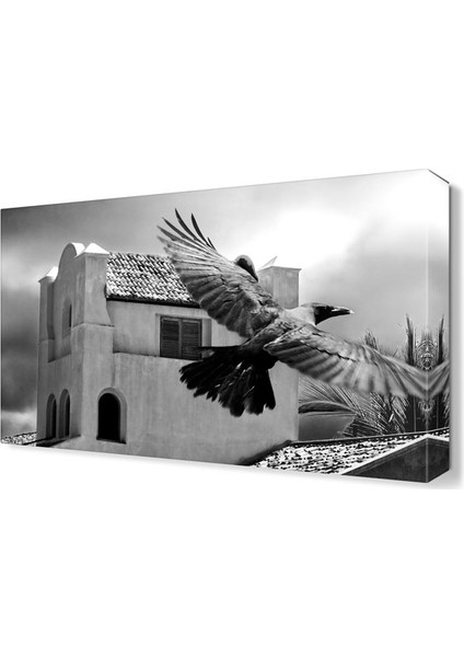 Kartal Tablosu 45x30 cm