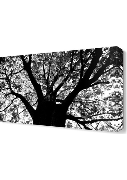 Siyah Beyaz Dekoratif Tablo 45x30 cm
