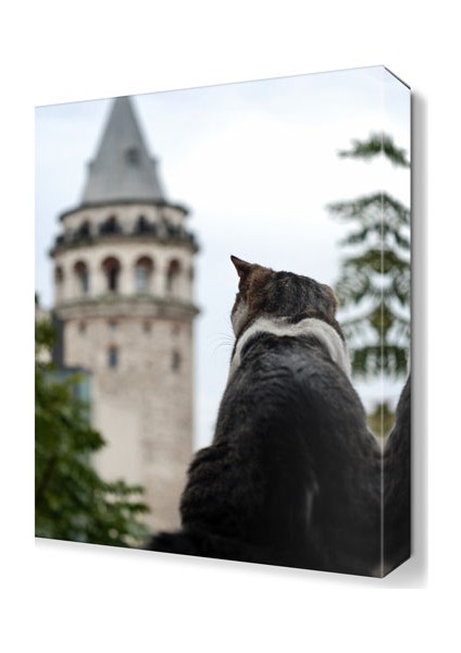 Galata Köprüsü ve Kedi Tablosu 45x30 cm
