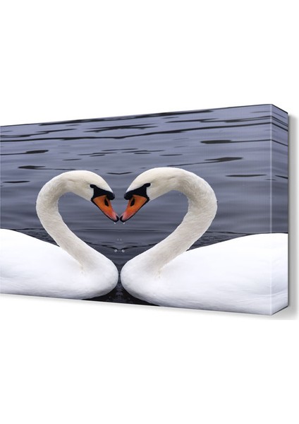 Kuğuların Aşkları Tablosu 45x30 cm