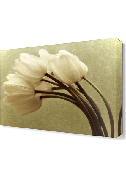 Beyaz Lale Demeti Tablosu 105x70 cm