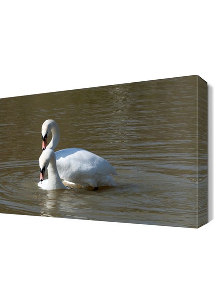 Kuğu2 Tablo 45x30 cm
