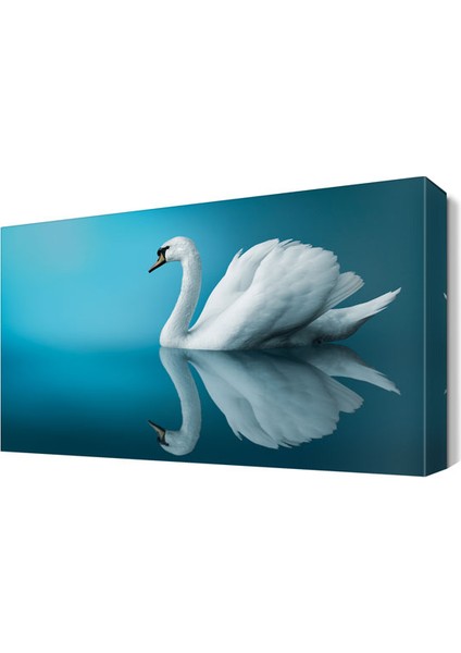 Güzel Tablosu 45x30 cm