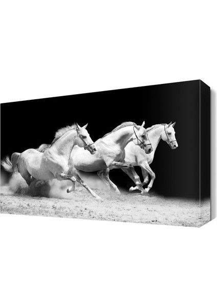 Koşan Beyaz Üçlü At Tablo 45x30 cm