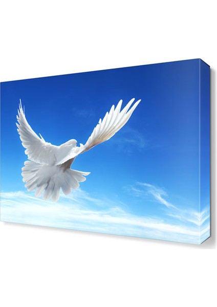 Uçan Beyaz Güvercin Tablosu 45x30 cm
