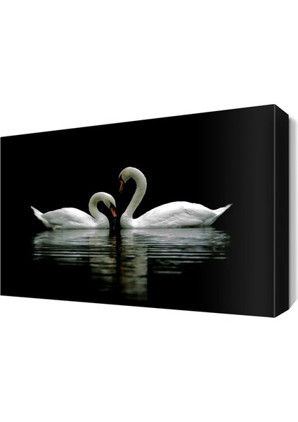 Gece Sudaki Kuğular Tablosu 45x30 cm