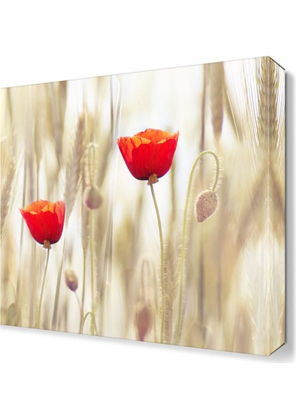 İki Gelincik Tablosu 90x90 cm