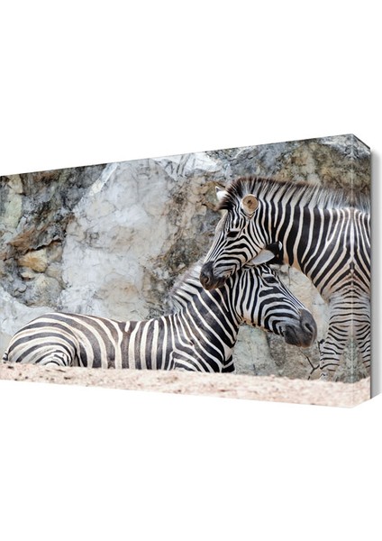 Eş Zebralar Tablosu 45x30 cm