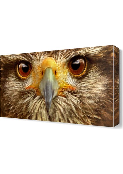 Şahin Gözleri Canvas Tablo 45x30 cm