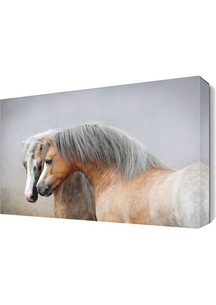 Sevimli Atlar Tablosu 75x50 cm