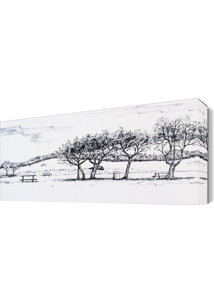 Ağaçlar Karakalem Tablosu 45x30 cm