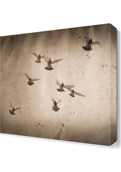 Uçan Güvercinler Canvas Tablo 30x30 cm