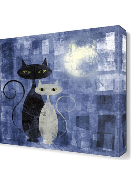 Siyah Beyaz Kedi Tablosu 30x30 cm