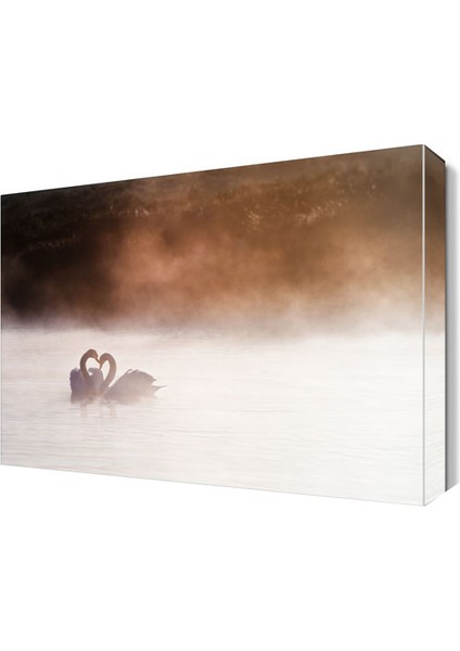 Sisli Hava Kuğuların Aşkı Tablo 120x80 cm