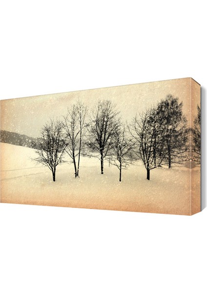Dekoratif Ağaçlar 2 Canvas Tablo 45x30 cm