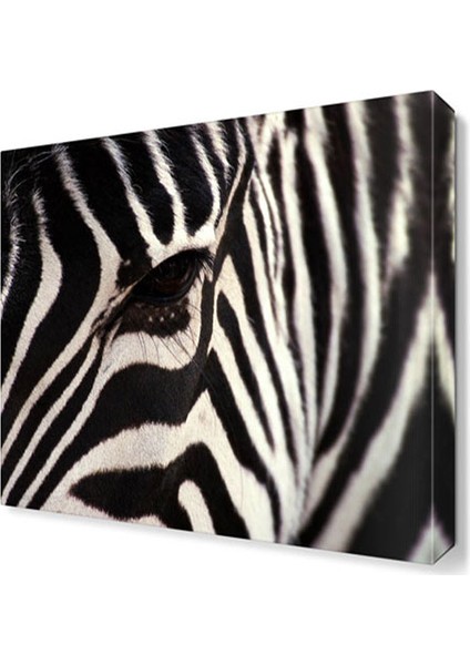 Zebra Çizgileri Canvas Tablo 30x30 cm