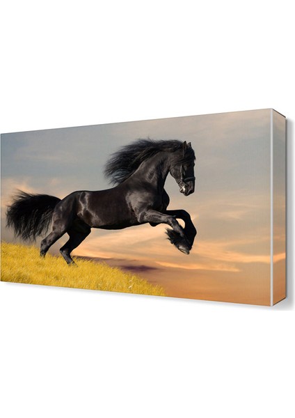 Siyah At Canvas Tablo 45x30 cm