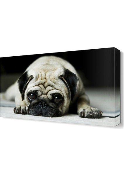 Yavru Köpek Canvas Tablo 45x30 cm