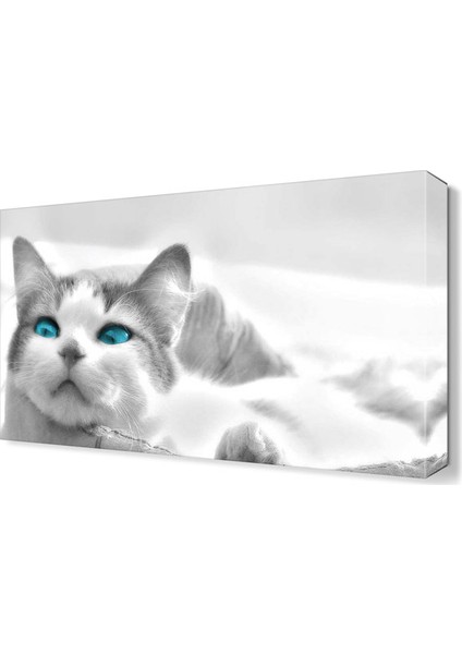 Beyaz Kedi Canvas Tablo 45x30 cm
