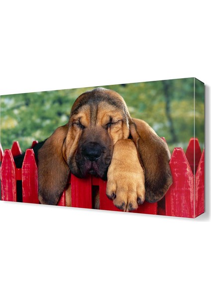 Tatlı Köpek Canvas Tablo 45x30 cm