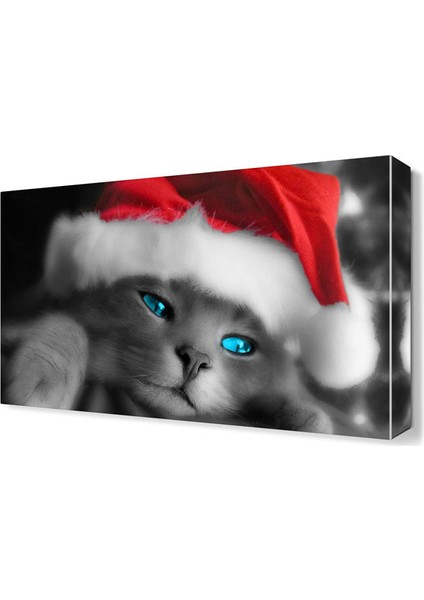 Noel Şapkalı Kedi Canvas Tablo 45x30 cm