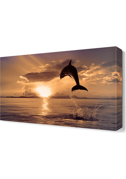 Atlayan Yunus Canvas Tablo 45x30 cm