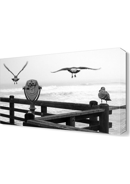 Kuşlar2 Canvas Tablo 45x30 cm