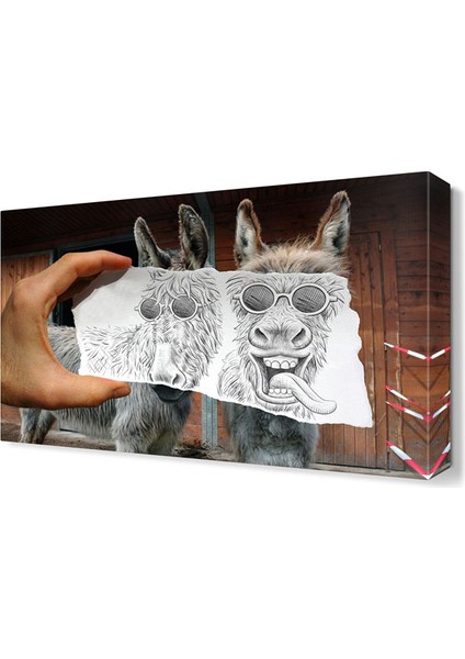 Komik Eşek Canvas Tablo 45x30 cm
