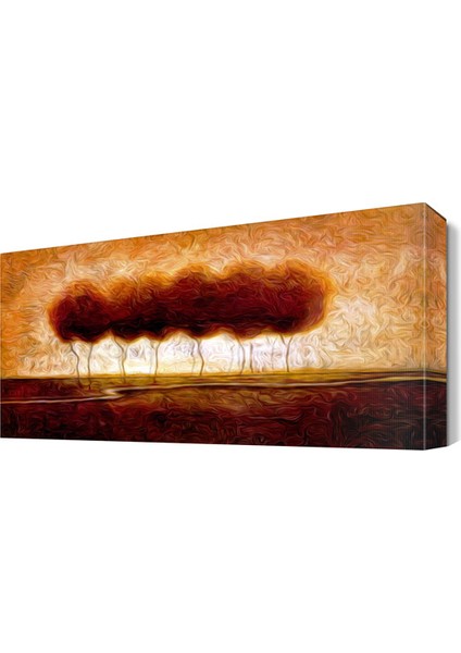 Buğulu Gelincikler Tablosu 45x30 cm