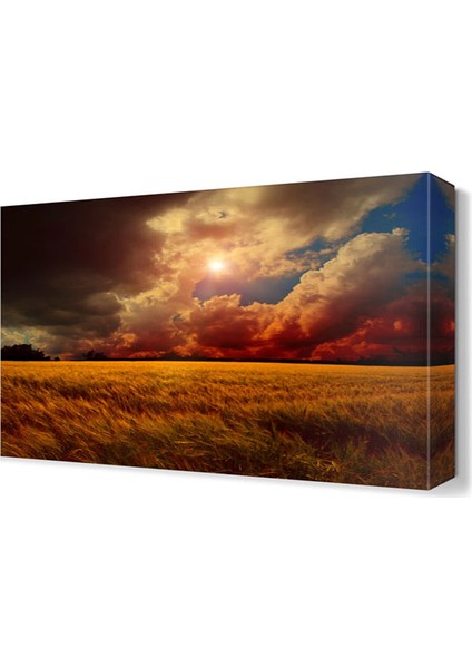 Buğday Tarlası Manzara Canvas Tablo 75x50 cm