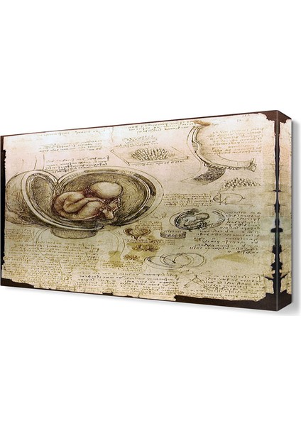 Davinci Canvas Tablo 45x30 cm