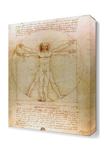 Leonardo da vinci Vitruve Luc Viatour Tablo 60x40 cm