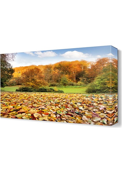 Dökülmüş Yapraklar Canvas Tablo 45x30 cm