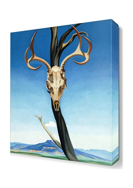 Georgia O Keeffe Kuru Kafa Canvas Tablo 45x30 cm