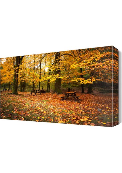 Sonbaharda Orman Manzarası Canvas Tablo 45x30 cm