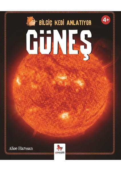 Bilgiç Kedi Anlatıyor: Güneş