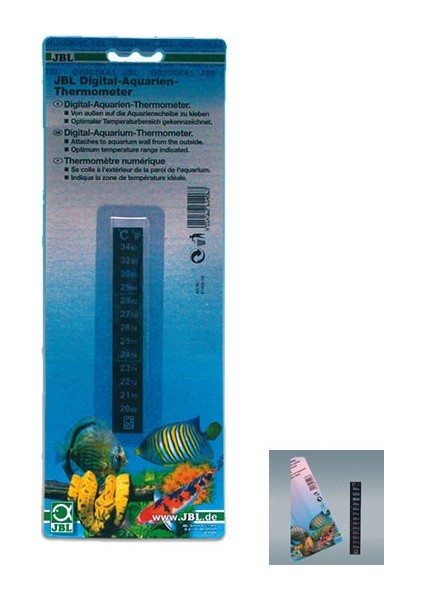 Digital Thermometer