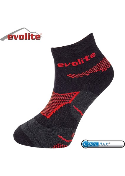 Sense Coolmax Yazlık Çorap fiyatları