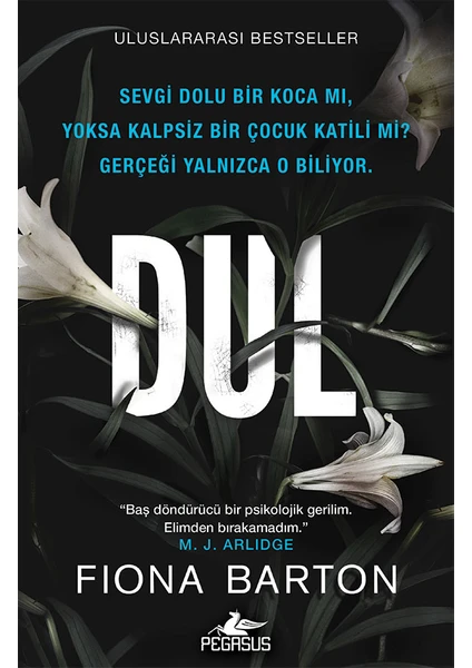 Dul - Fiona Barton