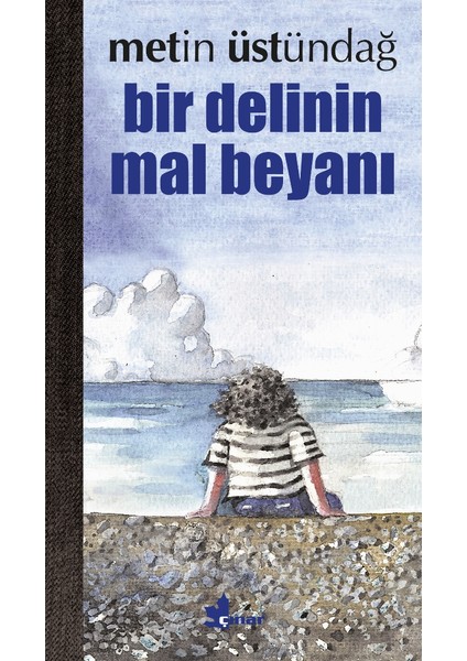 Bir Delinin Mal Beyanı - Metin Üstündağ