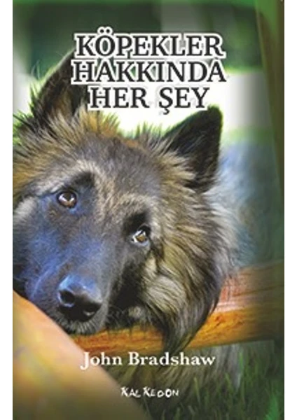 Köpekler Hakkında Her Şey