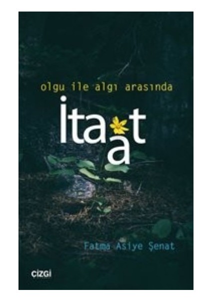 Olgu İle Algı Arasında İtaat