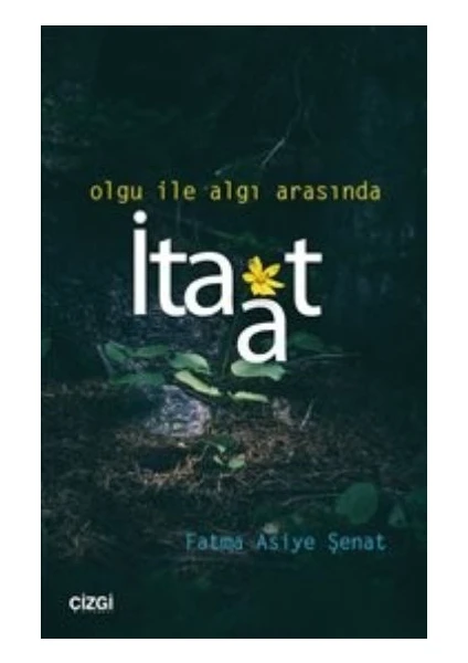 Olgu İle Algı Arasında İtaat