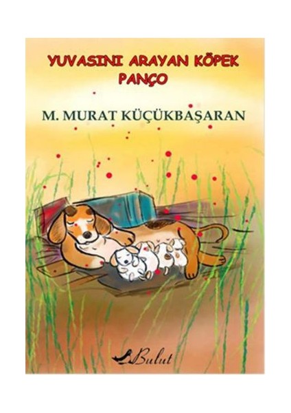 Yuvasını Arayan Köpek Panço