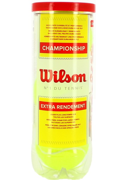 Tenis Topu Championship Xd 3Lü Mix Unisex Top WRT100101