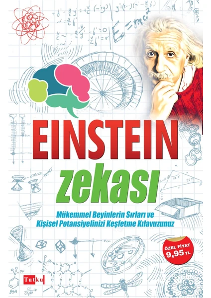 Einstein Zekası