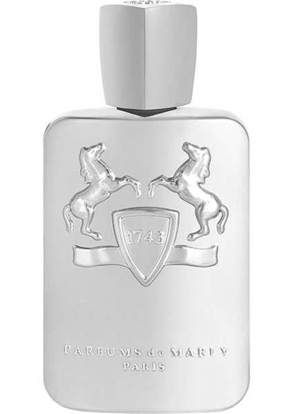 Pegasus EDP 125 ML Erkek Parfüm