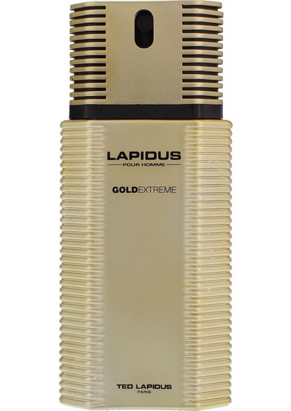 Gold Extreme EDT Spray 100 ML Erkek Parfüm