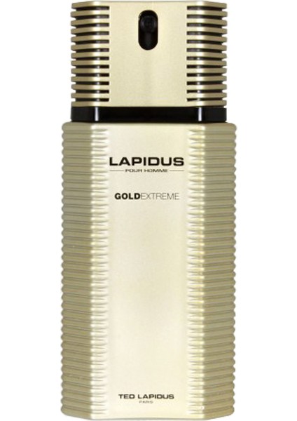 Gold Extreme EDT Spray 100 ML Erkek Parfüm